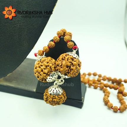 Rudraksha for Family Safety