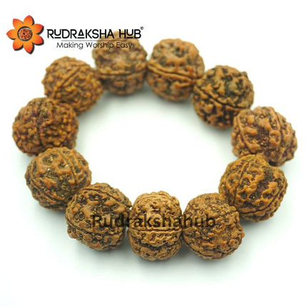 5 मुखी रुद्राक्ष कंगन (नेपाली)