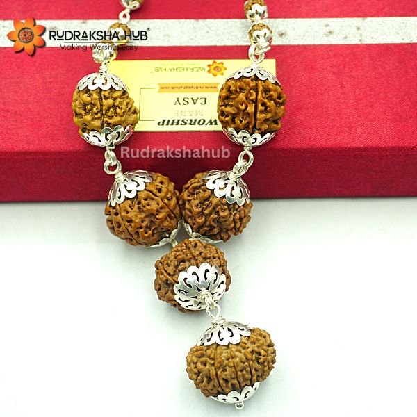 Rudraksha For Good Luck