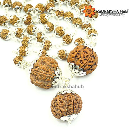 Rudraksha for Strong Jupiter