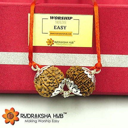 Rudraksha for Shukra Dosh and Shani Dosh