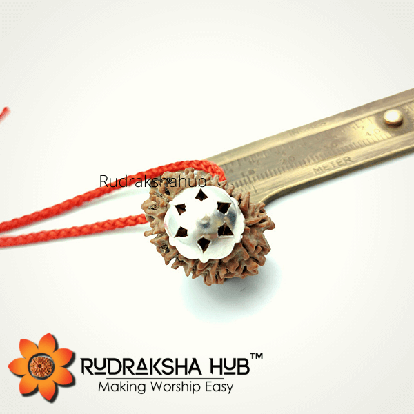 12 Mukhi Rudraksha Silver Pendant