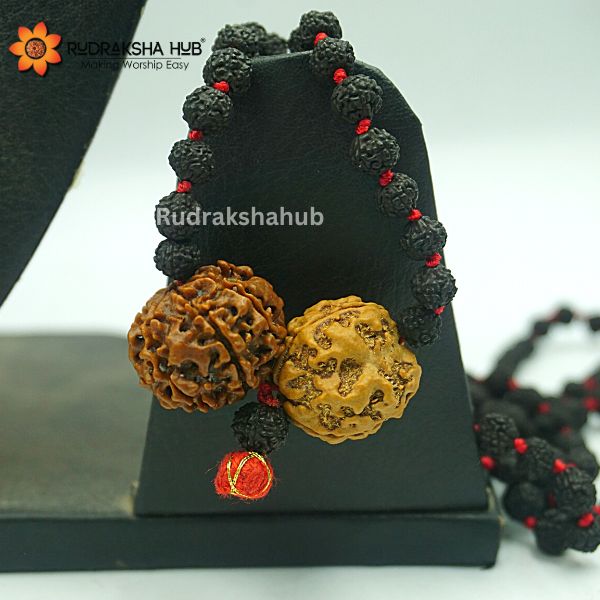 Rudraksha for Health and Safety
