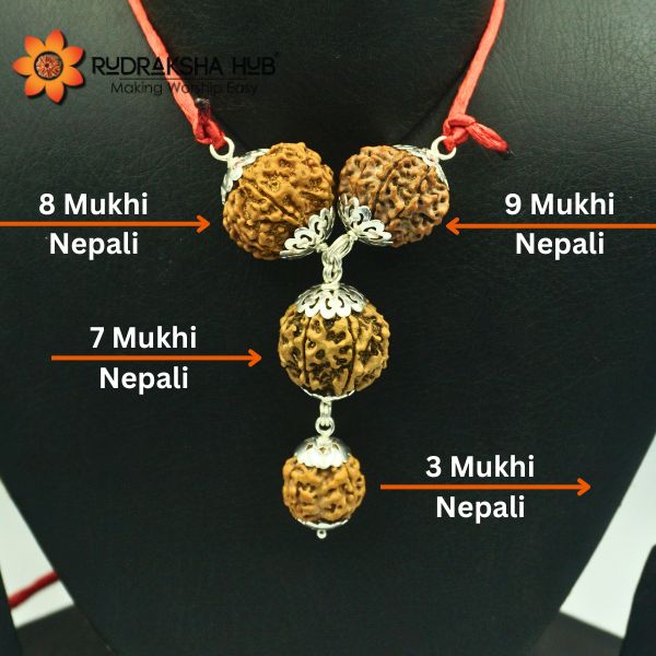 Rudraksha For Better Life