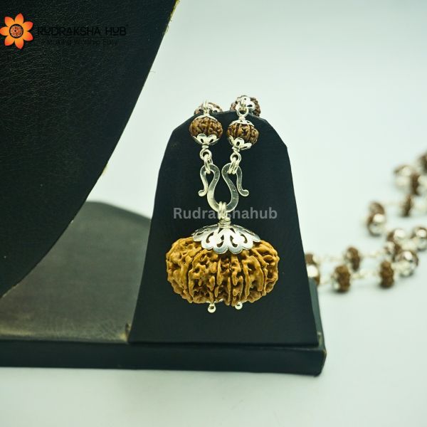 Rudraksha for Female Fertility