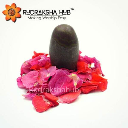 Narmadeshwar Shivlinga