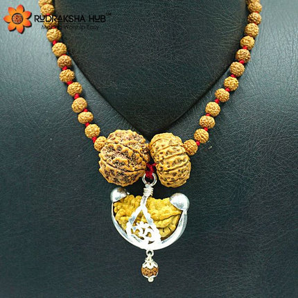 Rudraksha for Politics