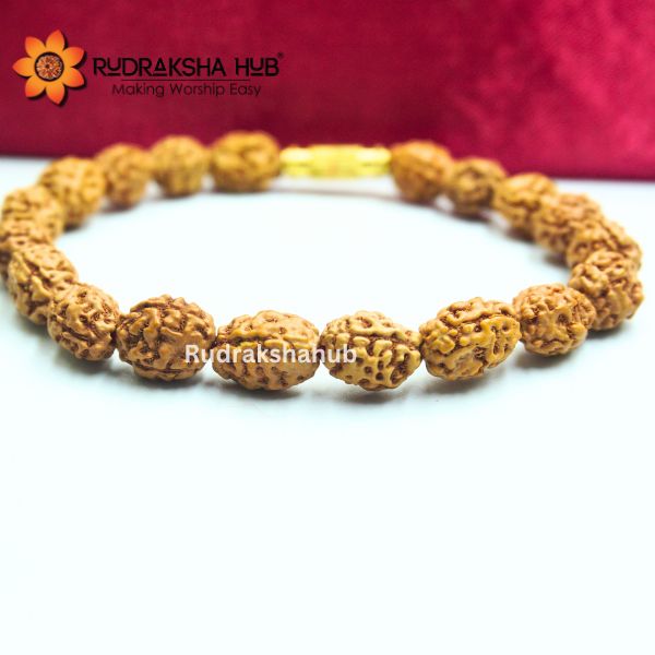 3 Mukhi Rudraksha Bracelet