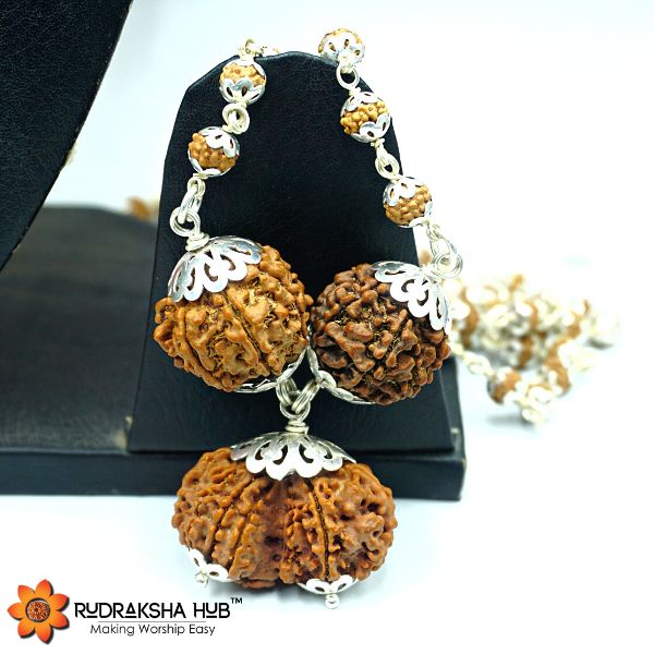 Rudraksha for Married Life Success