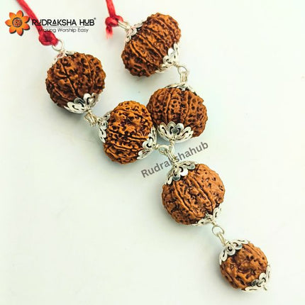 Rudraksha for Prevention and Protection