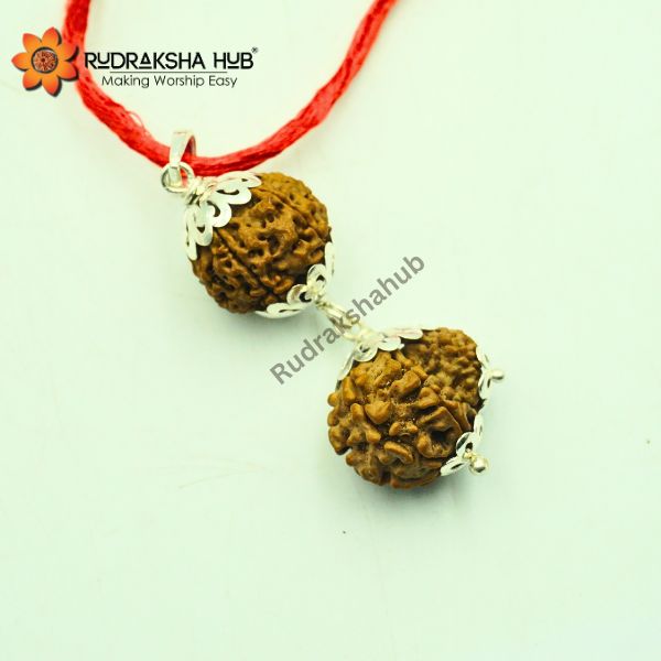 Rudraksha for Healthy Pregnancy