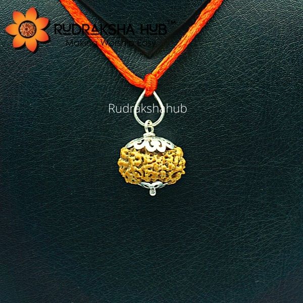 14 Mukhi Rudraksha Pure Silver Pendant (Indonesian)