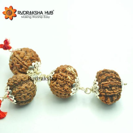 Rudraksha for Working Women