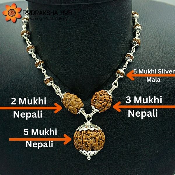 Rudraksha for Depression and Health