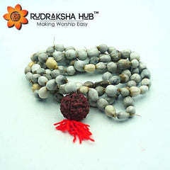 Collection image for: Vaijayanti