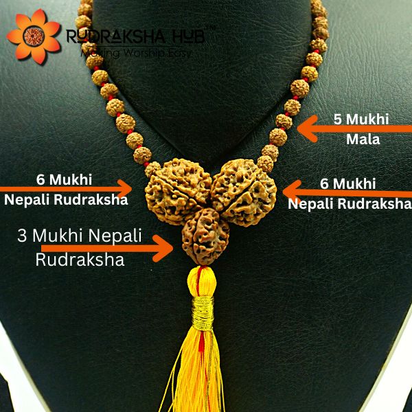 Rudraksha For Anxiety Issues