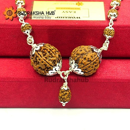 Rudraksha for Calmness