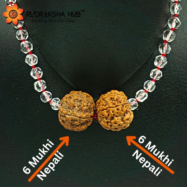 Rudraksha for Mental and Emotional Peace
