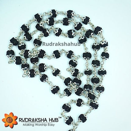 Rudraksha for Meditation and Peace