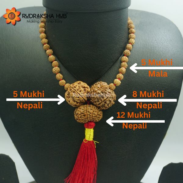 Beaded necklace with tassel on mannequin, labeled with mukhi types.