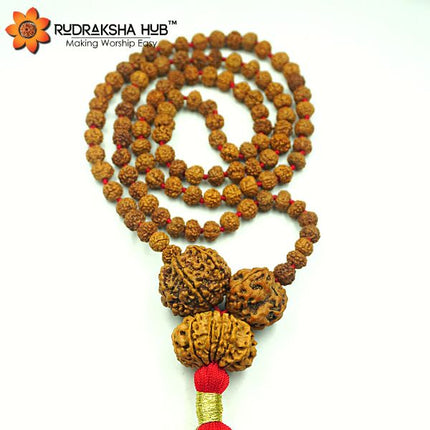 Rudraksha For Enemy Protection