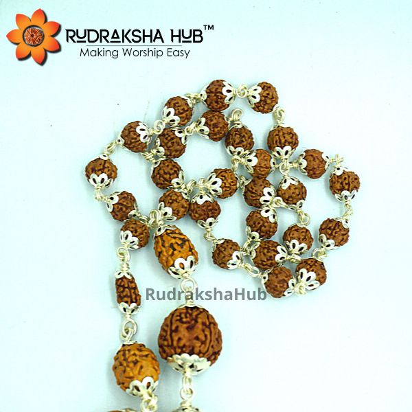 1-14 Mukhi Rudraksha Siddha Mala