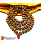 Rudraksha Jaap Mala 10mm