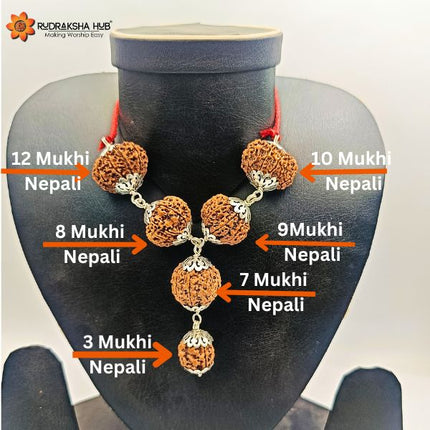 Rudraksha for Prevention and Protection