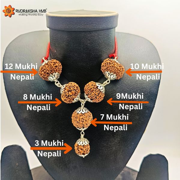 Rudraksha for Prevention and Protection