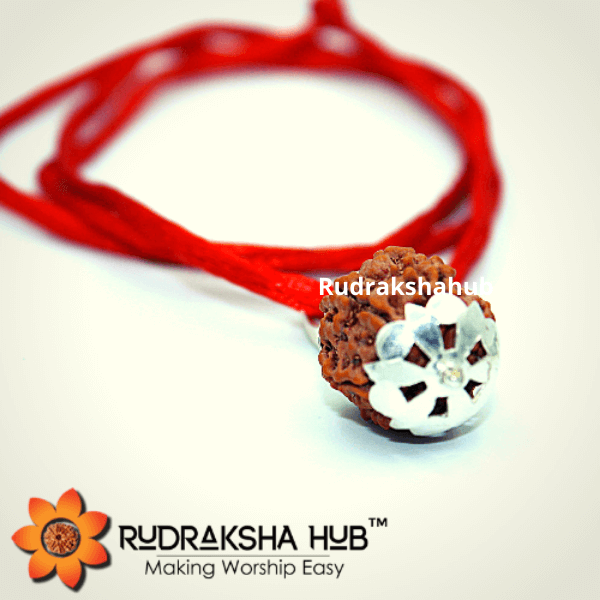 7 Mukhi Rudraksha Silver Pendant
