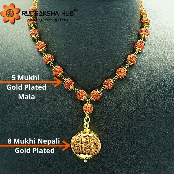 8 Mukhi Rudraksha for New Beginnings