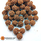 Rudraksha Kantha Mala Pure Silver