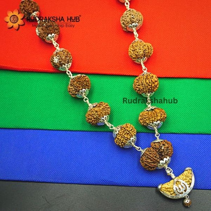 1-14 Mukhi Siddha Rudraksha Mala (Nepali)