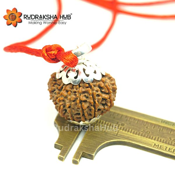 15 Mukhi Rudraksha Nepali Pendant