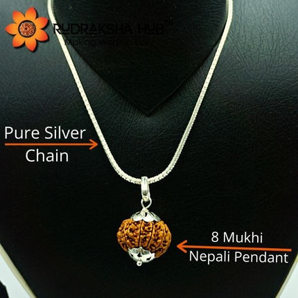 शुद्ध चांदी की चेन में 8 मुखी रुद्राक्ष
