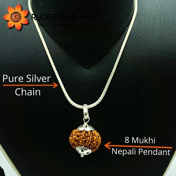 8 Mukhi Rudraksha in Pure Silver Chain