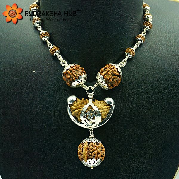 Rudraksha For Knowledge & Power