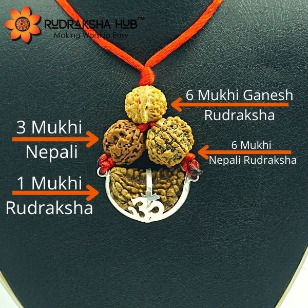 Rudraksha For Gaining Knowledge