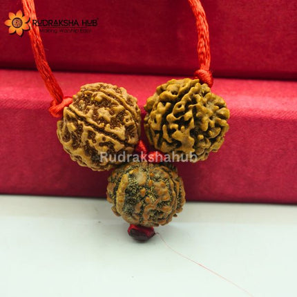 Rudraksha for Aspirants