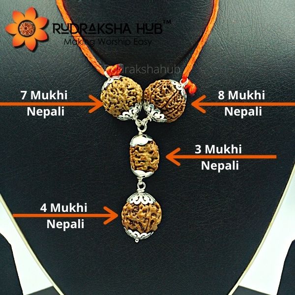 Rudraksha for Big Business Owners