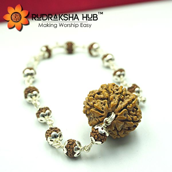 8 Mukhi Rudraksha Bracelet