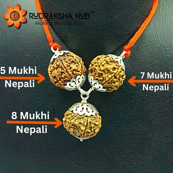 Three Rudraksha beads on an orange thread with text labels on a dark background.