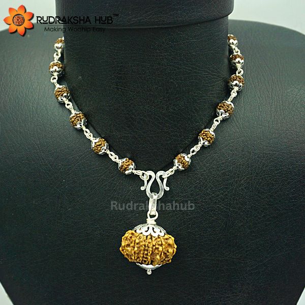 12 Mukhi Rudraksha in Pure Silver Mala