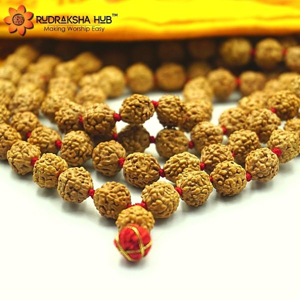 Rudraksha Jaap Mala 8 mm