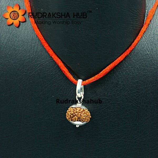 9 Mukhi Rudraksha Indonesian Silver Pendant