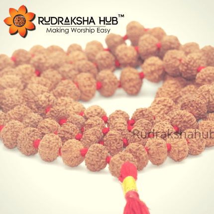 8 मुखी रुद्राक्ष माला