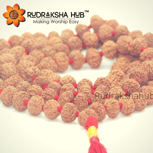 8 Mukhi Rudraksha Mala