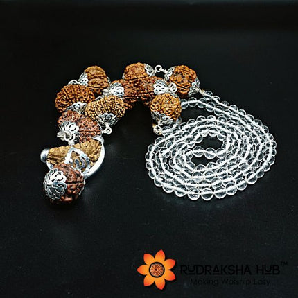 Rudraksha For Overall Happiness