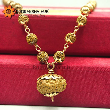 Rudraksha for Increased Attraction