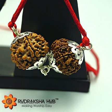 Rudraksha for Shukra Dosh and Shani Dosh